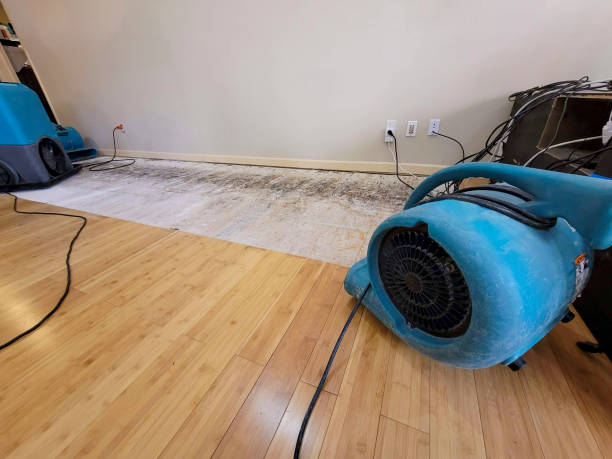 Professional Water Damage Repair technician working in Sawyer, MN